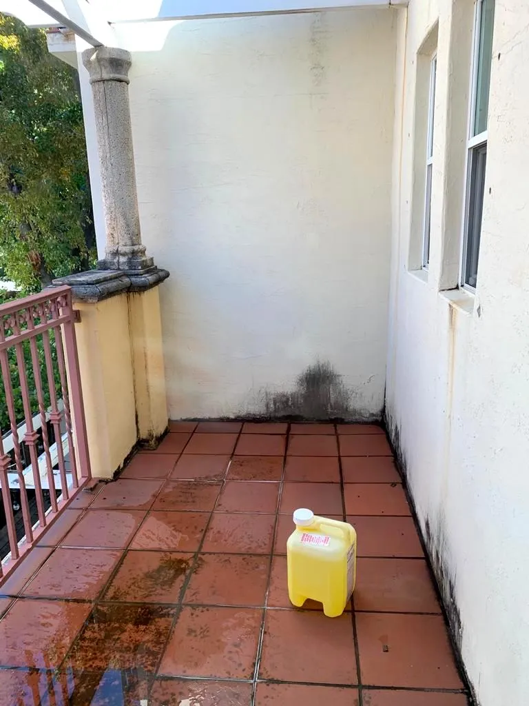 Gerais image